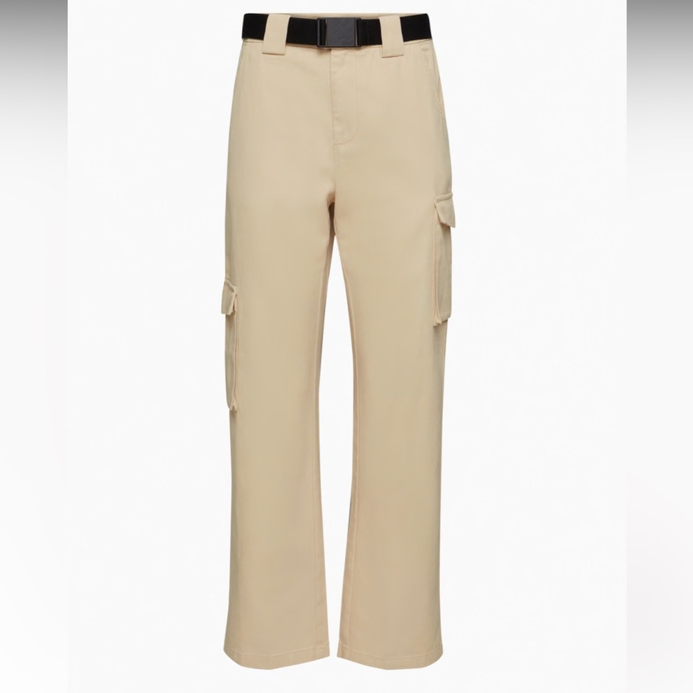 Aritzia Tna Cargo Pant